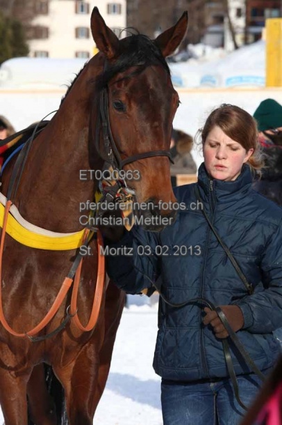 ET0Q0963 prot